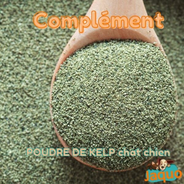 Complément alimentaire - Ascophyllum Nodosum -pour chien et chat