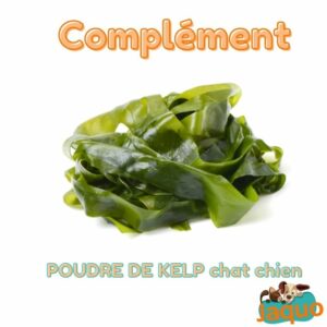 Complément alimentaire - Ascophyllum Nodosum -pour chien et chat