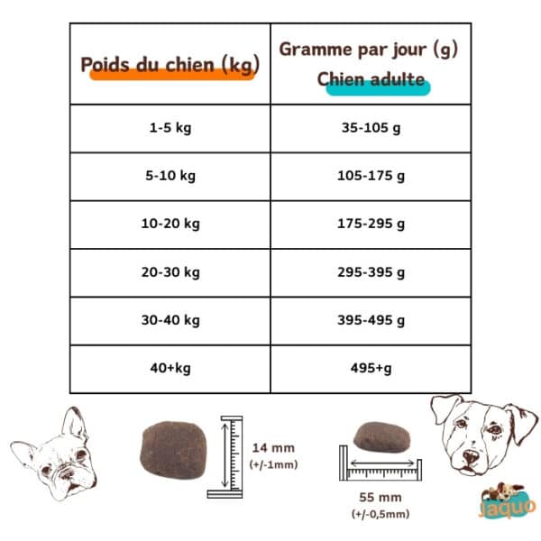 ration journalière Croquettes à l'agneau et au riz pour chien toutes races