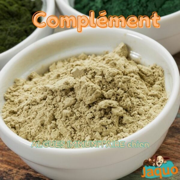 Complément alimentaire 💪- immunitaire - pour chien Flacon de 100 grammes