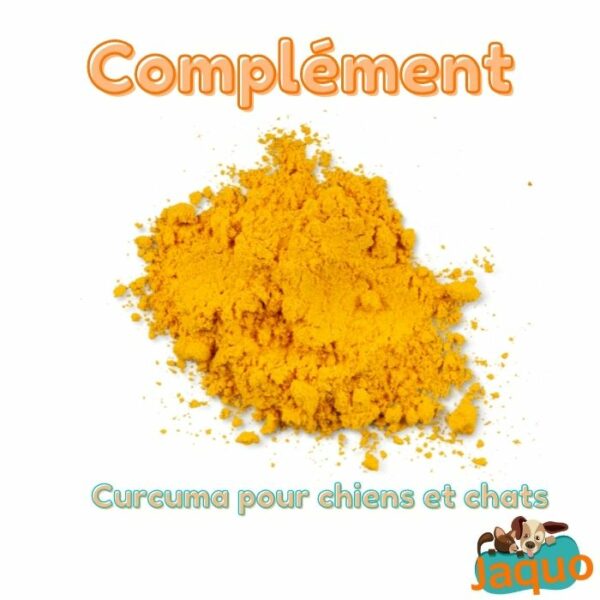 Complément alimentaire - Curcuma -pour chien et chat