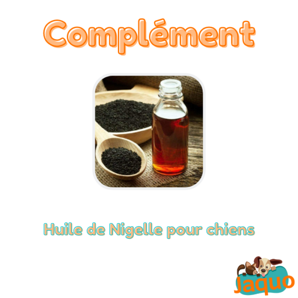 Huile de Nigelle pour chien