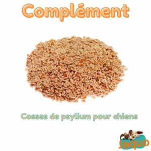 Cosse de psyllium blond pour Chien et Chat