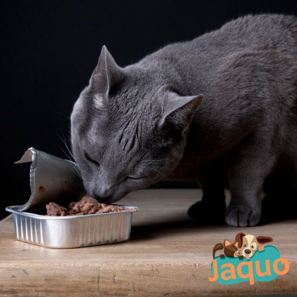 Terrine pour Chat 100% BIO - Volaille Aux Légumes - 100g