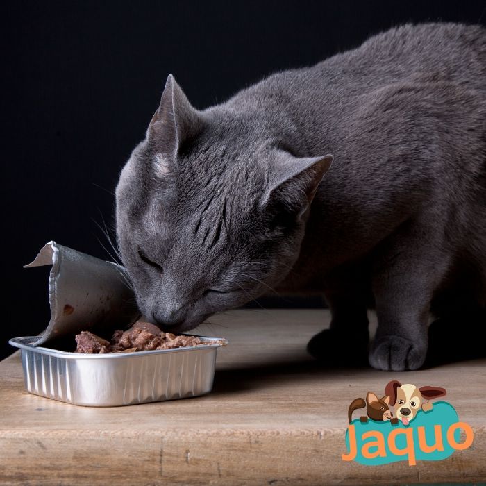 Pâtée pour Chat au Boeuf et Légumes