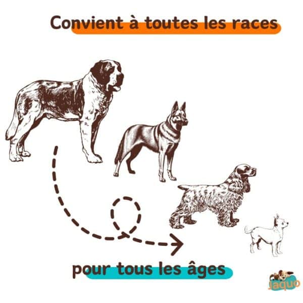 croquette artisanale poulet riz chien pour chiot et chien adulte
