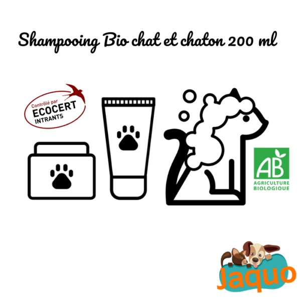 Shampooing bio Chat et Chaton