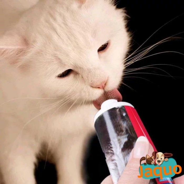 Pâte anti-boules de poils, Pour chat au malt