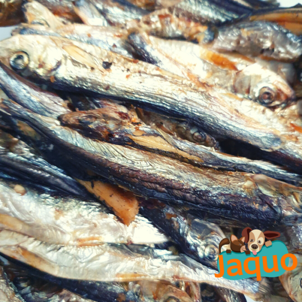 Sprats© Bonbon Artisanal pour Chien Chat Furet