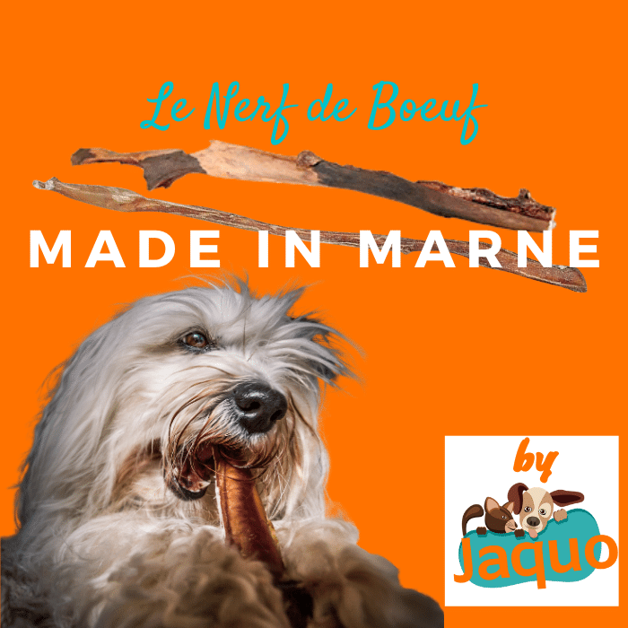 Nerf de boeuf pour chien - Friandise séchée 100% naturelle – Capitaine Croq