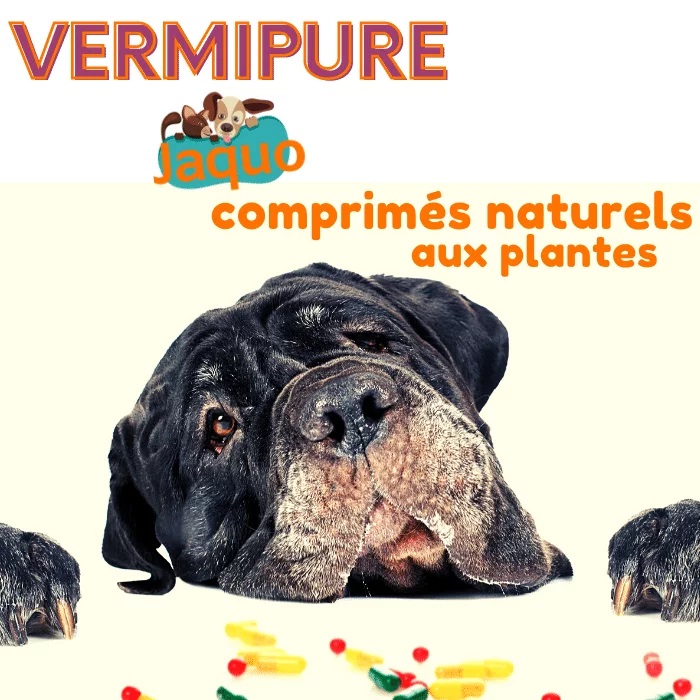 Vermifuge naturel pour Chiens grands ou costauds