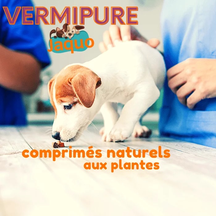 https://www.jaquo.fr/wp-content/uploads/2021/01/Vermifuge-pour-Chiot-et-Chien-de-petite-taille.jpg