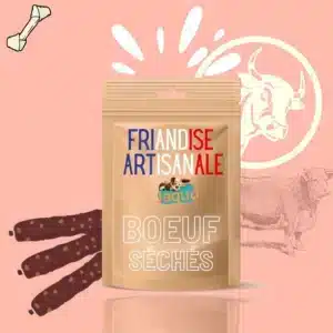 Friandise Artisanale pour Chien Viande séchée de bœuf
