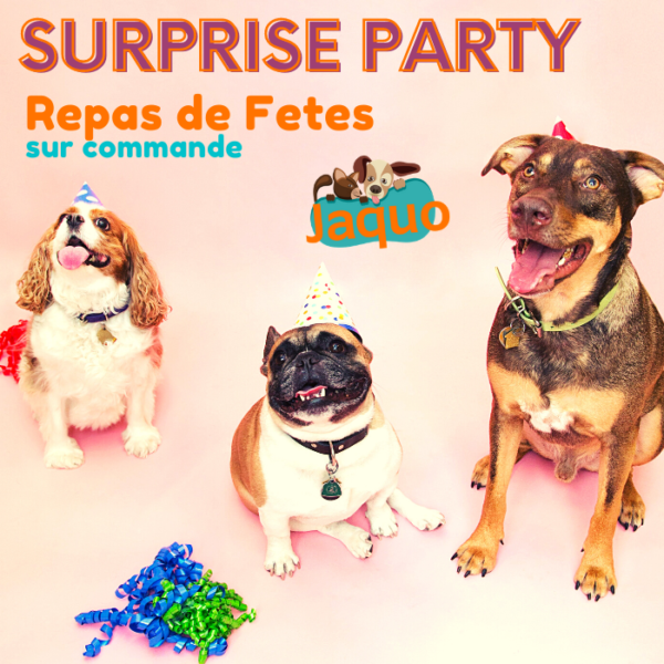 Menu fêtes et anniversaire pour chien