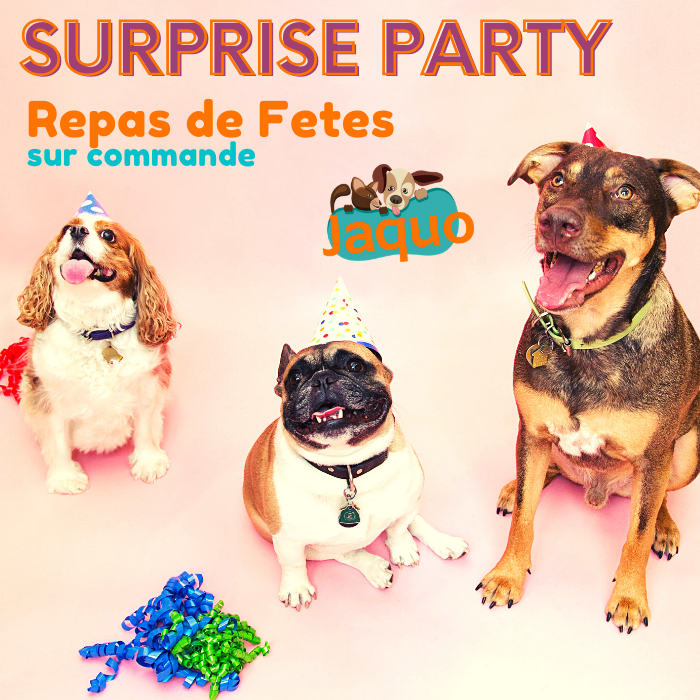 Menu fêtes et anniversaire pour chien