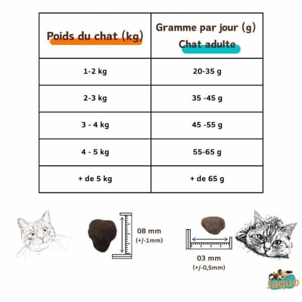 Tableau ration recette Croquettes locales pour chats adultes toutes races