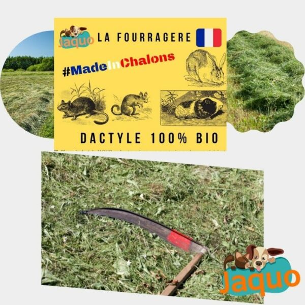 dactyle 100% bio chalons dans le 51 pour rongeurs