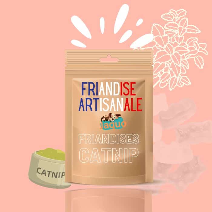 friandises cuisinées faits maison pour chat à l'herbe à chat