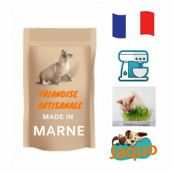 friandise faits maison pour chat à l'herbe à chat