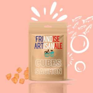 Friandise fait maison pour chat et chien cube de saumon