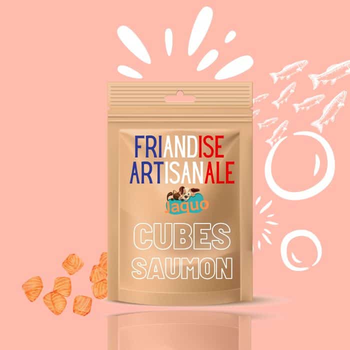 Friandise fait maison pour chat et chien cube de saumon