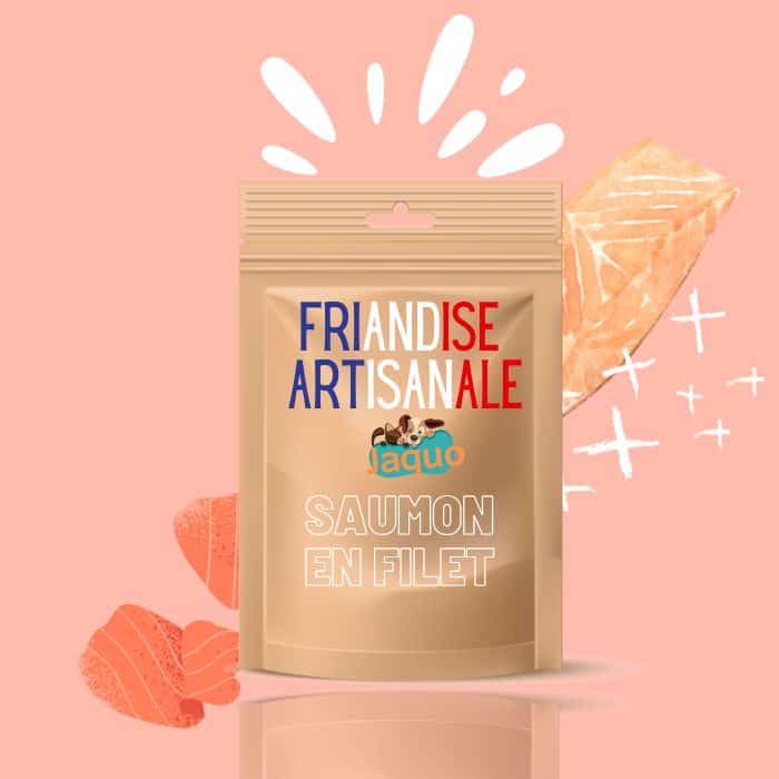 Friandise artisanale filet de saumon pour Chien