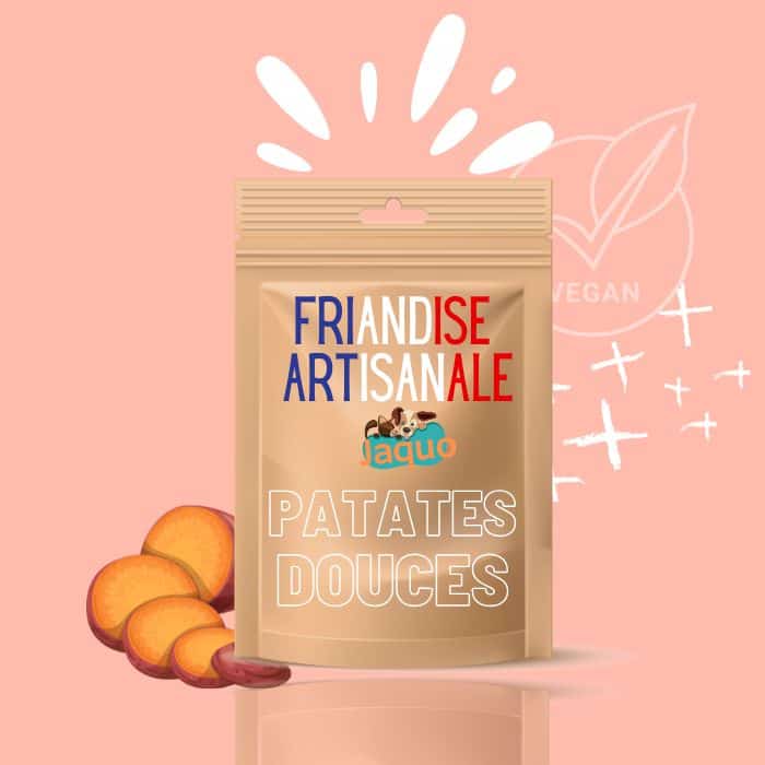 Friandise artisanale Vegan pour Chien