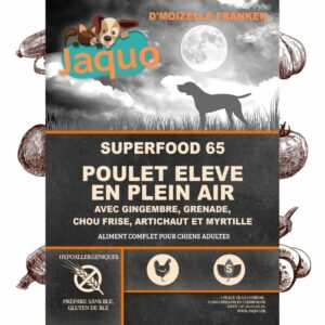 Croquette artisanale pour chien problème vieillesse
