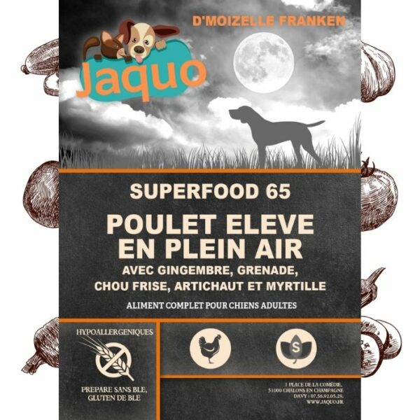 Croquette artisanale pour chien problème vieillesse