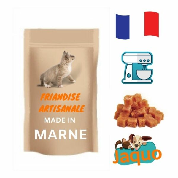 Friandise fait maison pour chat cube de saumon