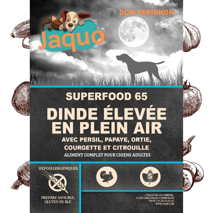 Croquette artisanale pour chien problème obésité