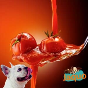 Les chiens peuvent-ils manger des tomates ?