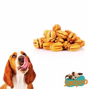 Les chiens peuvent-ils manger des noix de pécan ?