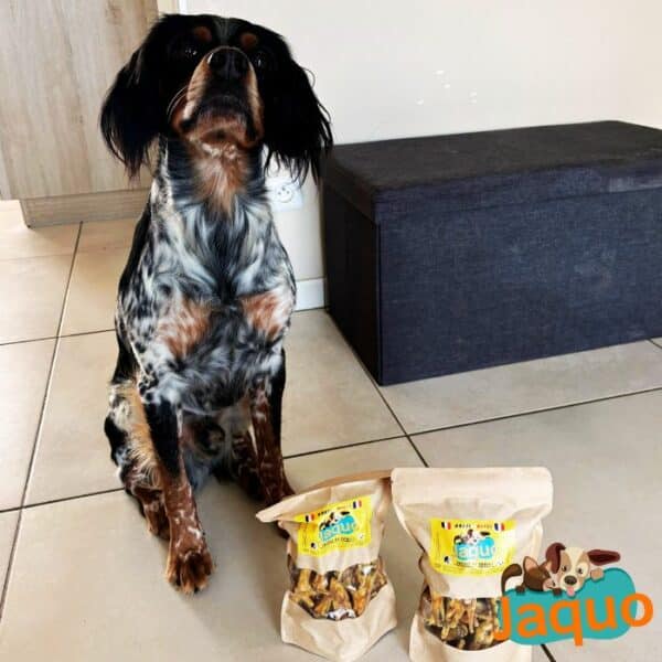 Pattes de Poulet Artisanale pour Chien Posologie