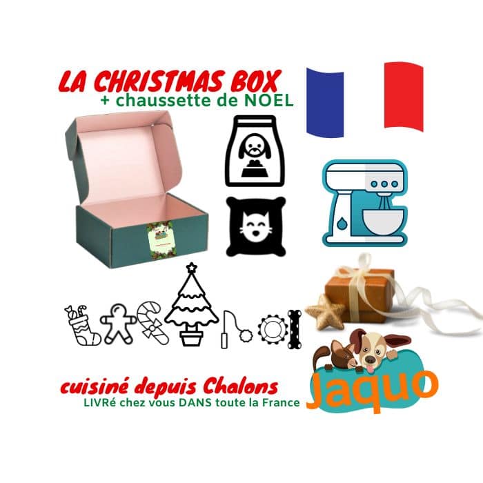 Box de Noel Chien Chat