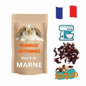 Friandise lapin - Banane séchée –