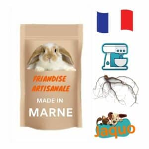 Friandise naturelle pour lapin Racine Pissenlit