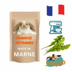 Friandise naturelle pour lapin Pissenlit