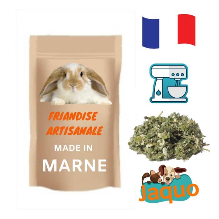 Friandise naturelle pour lapin plantain