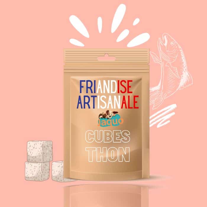 Friandise artisanale chat cube thon