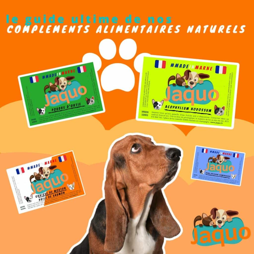 Guide compléments alimentaires naturels chien