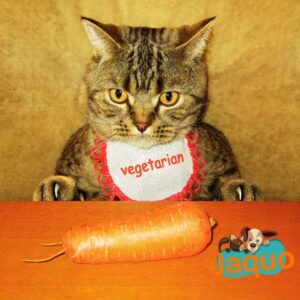 Les chats peuvent-ils manger des carottes ?