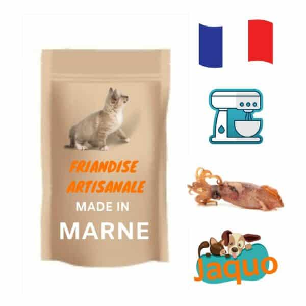 Friandise fait maison calamar chat