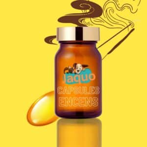 capsules encens artisanales chien