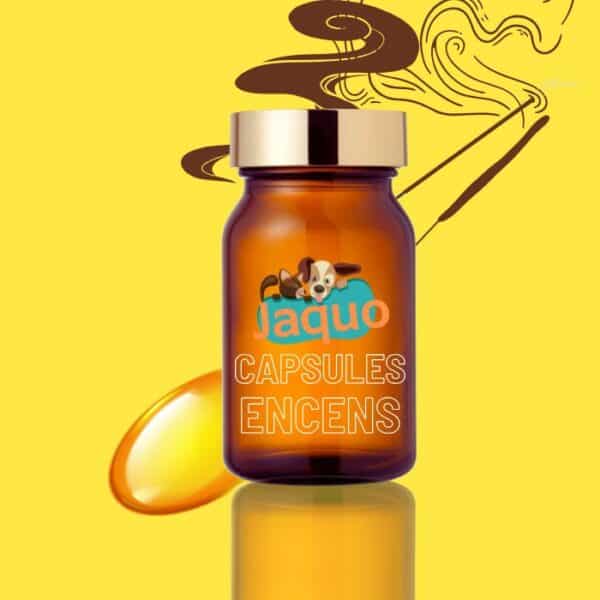 capsules encens artisanales chien