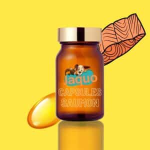 Capsules Huile De Saumon artisanale - Chien Chat