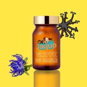 Harpagophytum Griffe du diable pour chien | Fabrication Artisanale