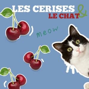 Mon chat peut-il manger des cerises