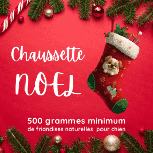 Chaussette de Noel chien garnie de 500 grammes de friandises artisanales et naturelles