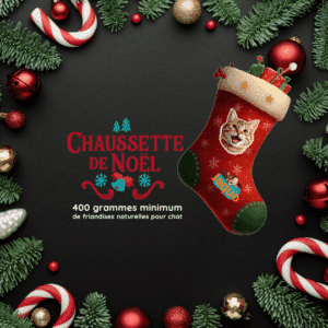 Chaussette de Noel chat garnies de 400 grammes de friandises artisnales et naturelles